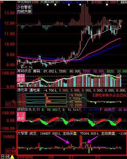 日线买卖成交量(大智慧)