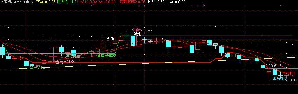 通达信黑马主图指标公式