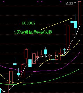 散户选股技巧实例