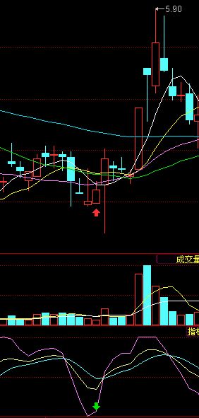 散户选股技巧实例