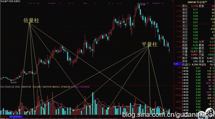 量柱讲解之六基本概念和分类