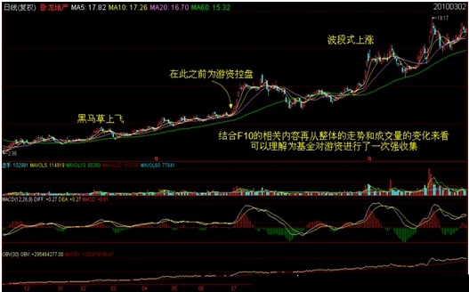 筹码学完整讲解