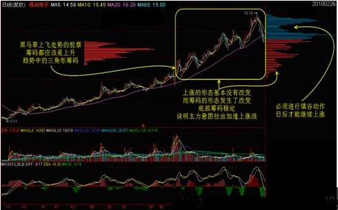 筹码学完整讲解