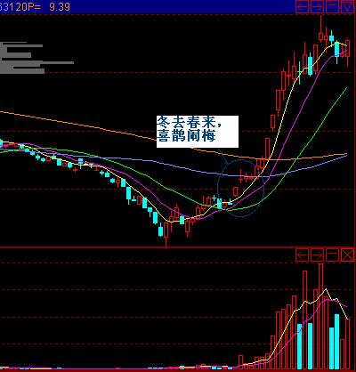 精彩追涨图谱 精彩追涨图谱