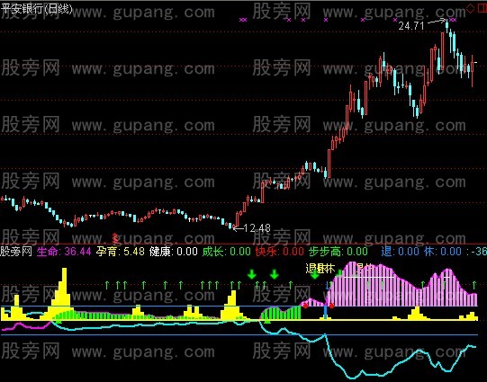 通达信一品爱家+经典震仓指标公式