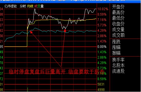 涨停板讲解大全(文章超长)