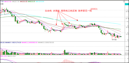 涨停板讲解大全(文章超长)