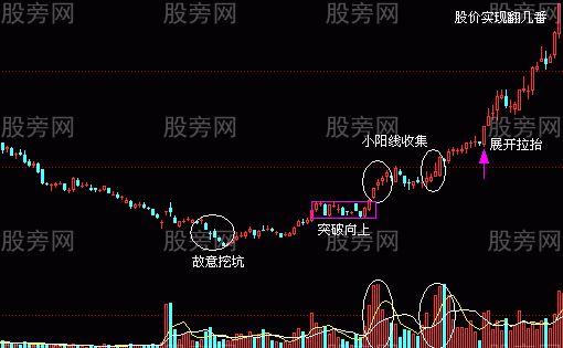 牛股的基本面和技术面共同特点