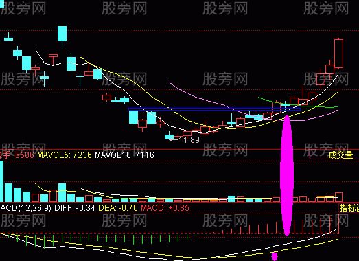 牛股的基本面和技术面共同特点