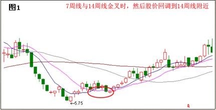 周线选出黑马要点