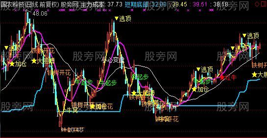 通达信铁树开花主图指标公式