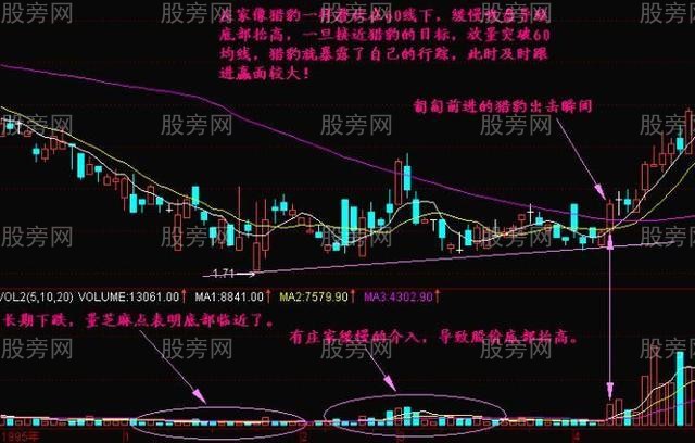 猎豹出击短线战法