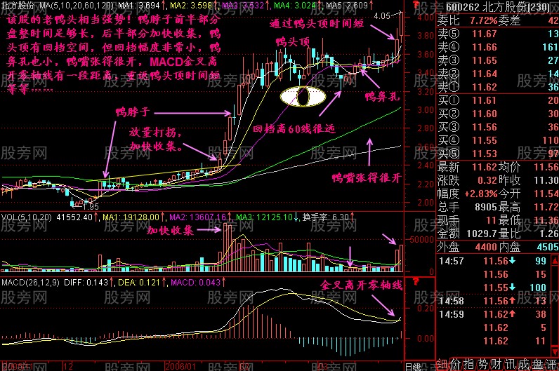 经典技术分析老鸭头 经典技术分析老鸭头