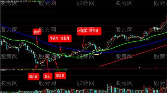 解密两种黑马的基因