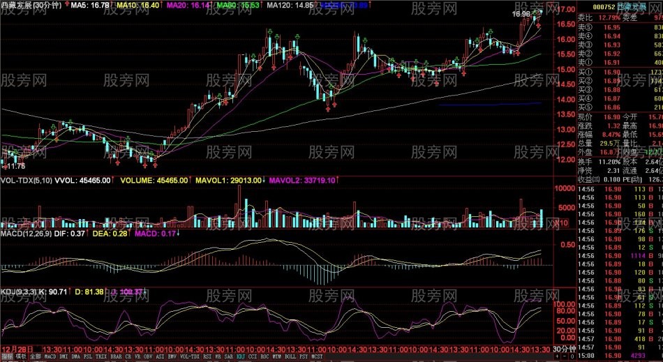 稳定获利的热点龙头30分战法