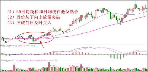 一买就涨的买入口诀