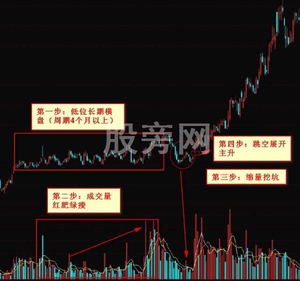 出手就翻倍的抓黑马形态技巧