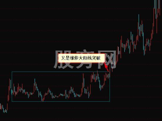 出手就翻倍的抓黑马形态技巧
