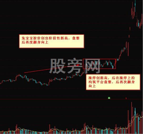 出手就翻倍的抓黑马形态技巧