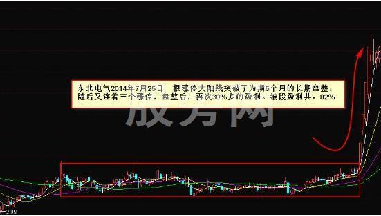 出手就翻倍的抓黑马形态技巧