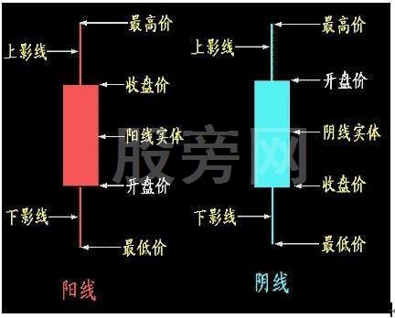 新手必学的K线基本知识