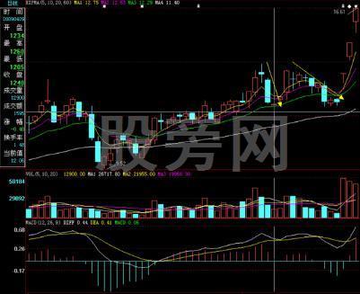 快速盈利的短线高手绝技
