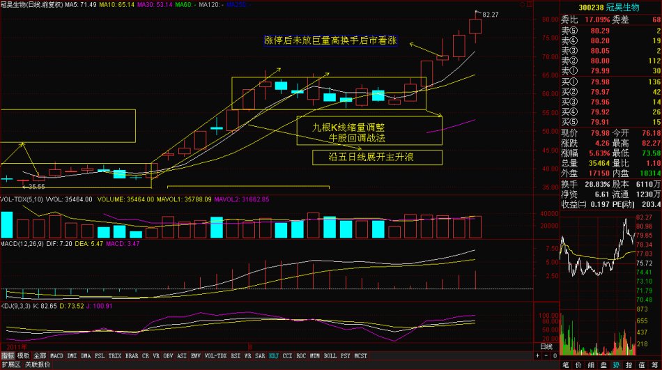 黑马主力思路解析
