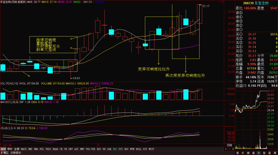 黑马主力思路解析