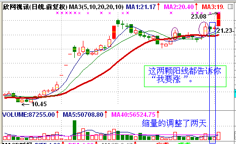 “我要涨”的股票形态