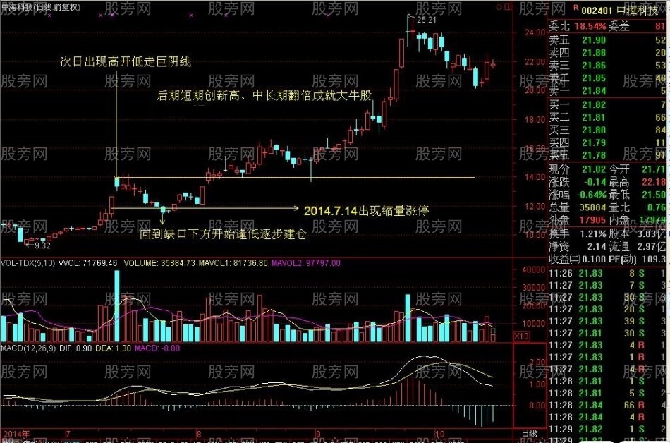 缩量涨停创新高的牛股