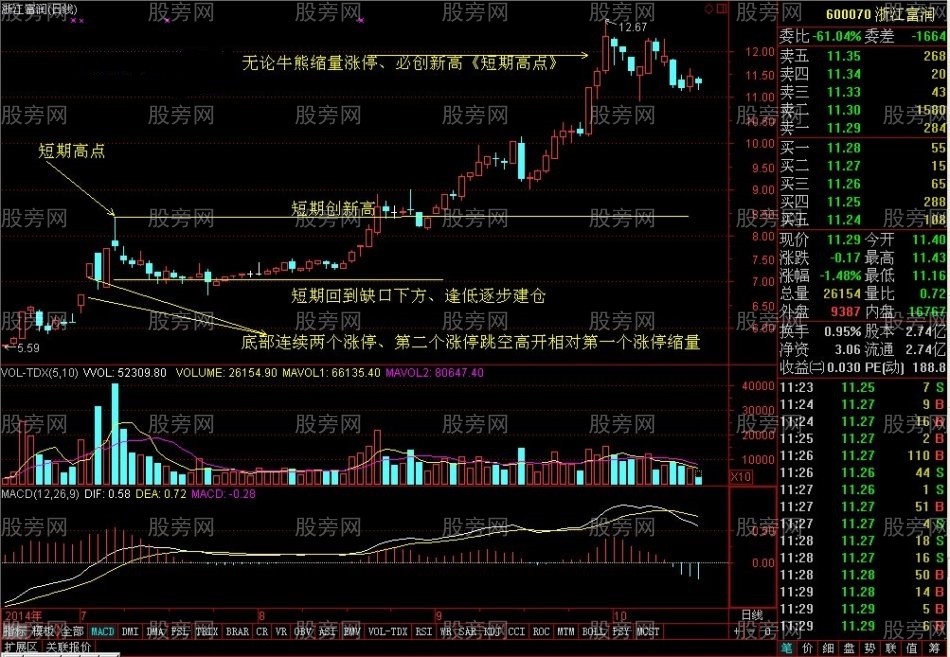 缩量涨停创新高的牛股