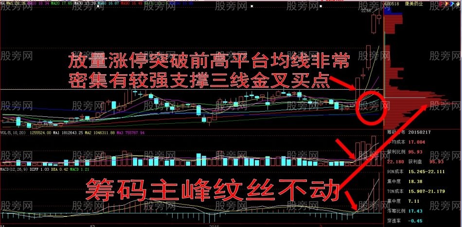 牛股简析