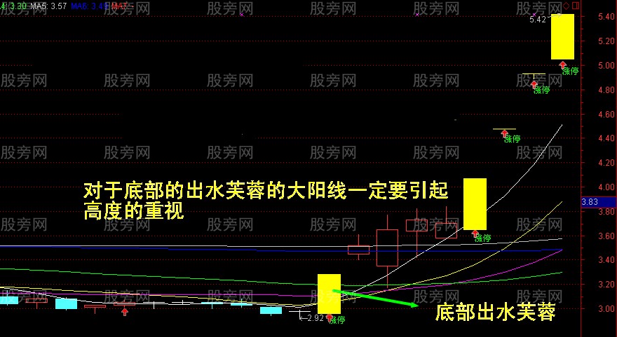 大阳线捕捉牛股