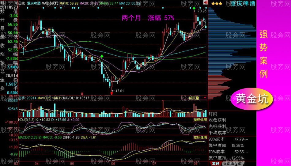 黄金坑全面讲解