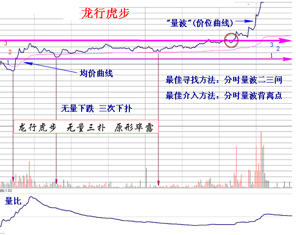 量学理论之龙行虎步