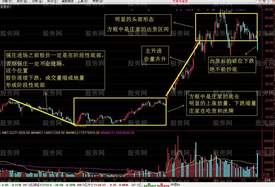 庄家节奏精准把控