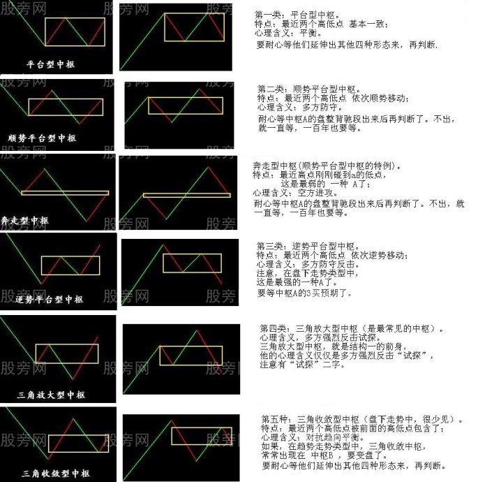 中枢形态分类