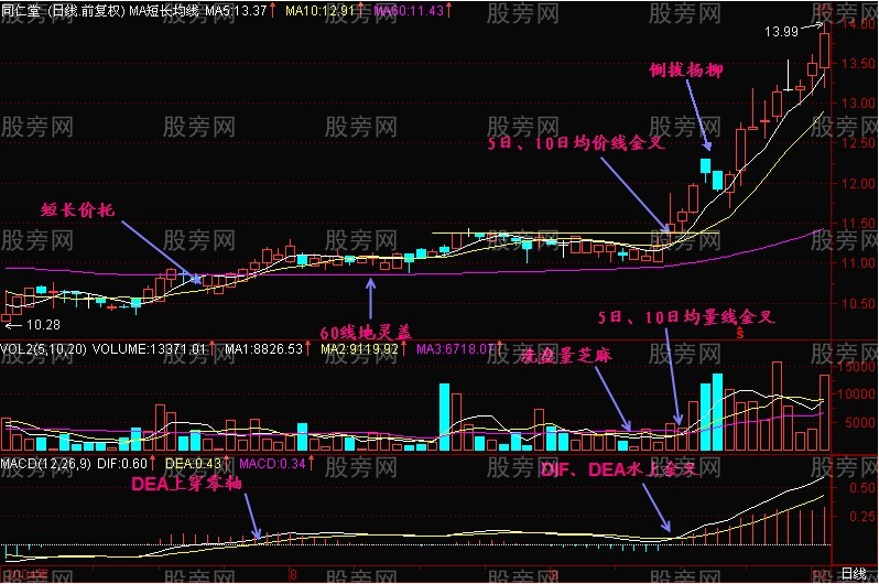 三金叉抓住上扬行情