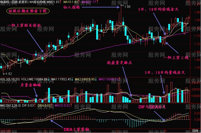三金叉抓住上扬行情
