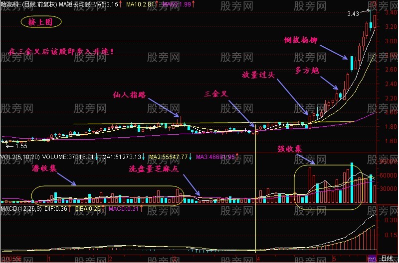 三金叉抓住上扬行情