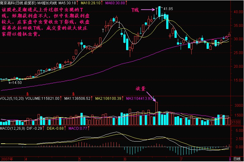 T线形成头部的意义