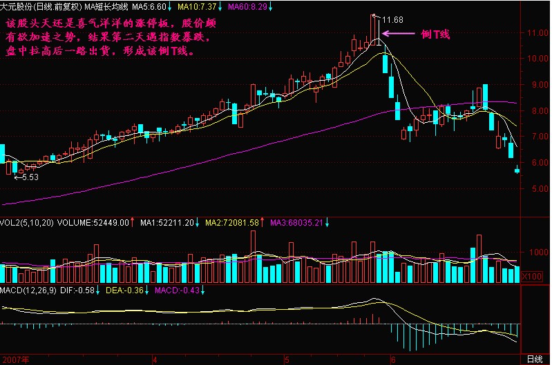 T线形成头部的意义