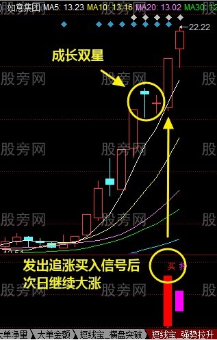成长双星形态特征
