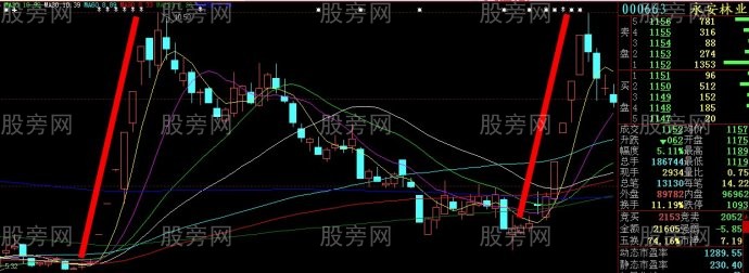 牛股左右对称原理