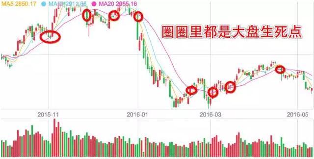 20日均线常抓牛股