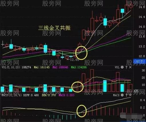 三线金叉全面讲解
