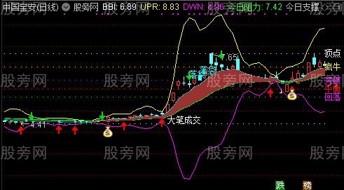 通达信近底大笔成交主图指标公式