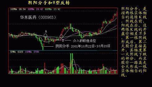 抓住黑马股的方法 抓住黑马股的方法
