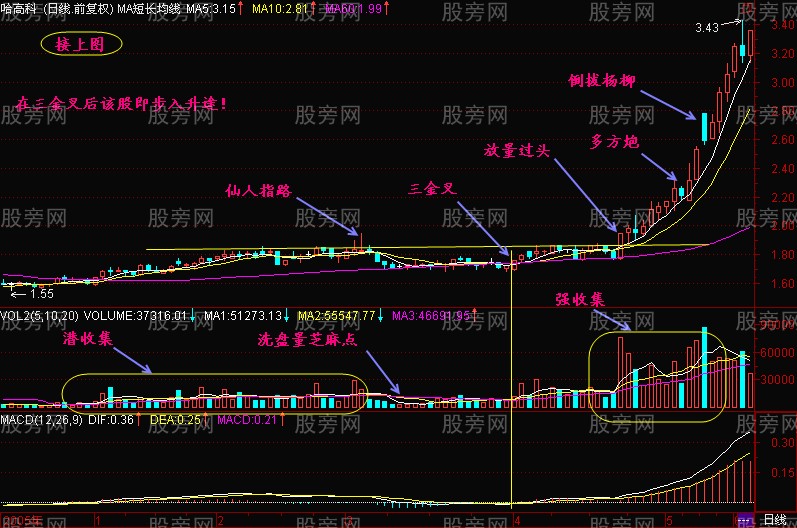 三金叉共振操作方法（均线+均量线+MACD）