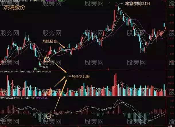 三线金叉使用方法图解